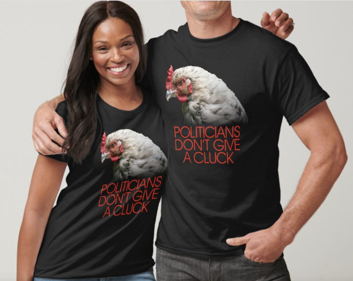 Chicken - Politicians don't give a cluck 